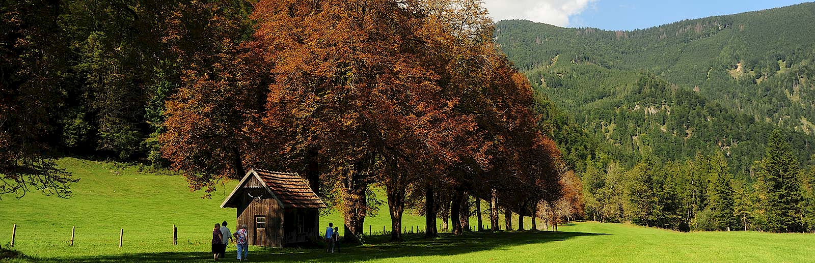 Steyrling Brunnental Kastanien Allee Mangshof