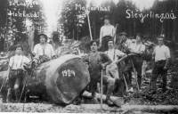Holzknechtpartie aus dem Jahre 1924